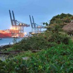 A expectativa é que as organizações envolvidas possam fornecer até 730 mil toneladas de combustível verde por ano até 2025. Fotos:  Maersk/Divulgação.