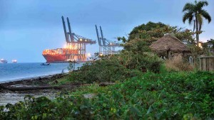 A expectativa é que as organizações envolvidas possam fornecer até 730 mil toneladas de combustível verde por ano até 2025. Fotos:  Maersk/Divulgação.