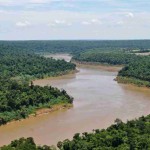 Formato se baseia no pagamento por serviços ambientais que mantêm e recuperam a floresta, como créditos de carbono. O modelo é inédito no país e representa um passo pioneiro para transformar a conservação da floresta em atividade rentável. Foto: Parque Nacional do Iguaçu / ICMbio