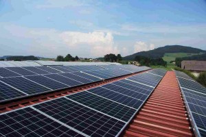 Empresas estão investindo em modelo de locação para economizar nas contas e não depender do espaço físico disponível. Foto: Pixaby/divulgação Cruze.