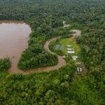 Certificações de produtos não madeireiros e serviços ecossistêmicos crescem em Área de floresta nativa no arquipélago do Bailique, Amapá. (Divulgação FSC)