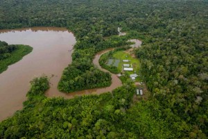 Certificações de produtos não madeireiros e serviços ecossistêmicos crescem em Área de floresta nativa no arquipélago do Bailique, Amapá. (Divulgação FSC)
