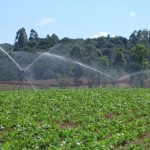 Clientes têm até novembro para regularizarem a situação e não perderem descontos de até 90% na fatura de energia> Foto: relaciona/ CNA Brasil.org.br