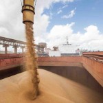 LabCerrado fomentará geração e adoção de tecnologias AGRO e oportunidades ao desenvolvimento sustentável territorial nas regiões de Porto Nacional e Araguaína, no Tocantins, e do Triângulo Mineiro, Alto Paranaíba e Noroeste de Minas, em Minas Gerais. Foto: VLI /divulgação.
