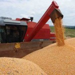 “Oportunidades e ameaças para commodities agrícolas brasileiras com foco em cadeia produtiva de grãos – uma visão global interna frente aos mercados atuais e potenciais”. Foto: arquivo Embrapa Milho e Sorgo