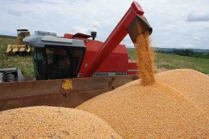 “Oportunidades e ameaças para commodities agrícolas brasileiras com foco em cadeia produtiva de grãos – uma visão global interna frente aos mercados atuais e potenciais”. Foto: arquivo Embrapa Milho e Sorgo