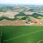 A Central possui os selos ISSO 9001 e ISSO 14001, que garantem qualidade nos processos de coleta, manutenção dos touros, industrialização e armazenamento das doses, tem previsão para superar as seis milhões de doses em 2022. Foto: Arquivo CRV/Central Bela Vista