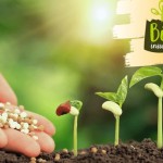 Projeto de Lei que dispõe sobre produção de bioinsumos nas fazendas passa pela Comissão de Finanças e Tributação e está mais perto de ser aprovado. Relacionada /Bioinsumos.