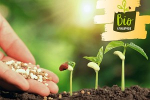 Projeto de Lei que dispõe sobre produção de bioinsumos nas fazendas passa pela Comissão de Finanças e Tributação e está mais perto de ser aprovado. Relacionada /Bioinsumos.