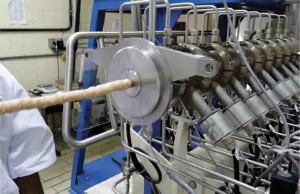 A extrusão termoplástica pode ser aplicada na elaboração de produtos expandidos aerados, preparação de proteínas texturizadas e análogos de carne, alimentos infantis e ração animal. Foto: Embrapa