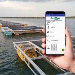 Dados reunidos pelo Aqua-On são transmitidos da plataforma flutuante até uma estação em terra, com acesso à internet via WiFi, e os dados ficam disponíveis em um aplicativo desenvolvido para celular. Foto: Fernanda Sampaio / divulgação