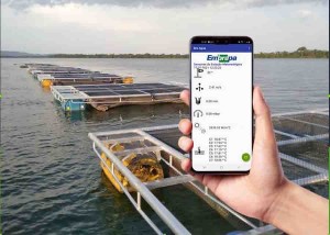 Dados reunidos pelo Aqua-On são transmitidos da plataforma flutuante até uma estação em terra, com acesso à internet via WiFi, e os dados ficam disponíveis em um aplicativo desenvolvido para celular. Foto: Fernanda Sampaio / divulgação