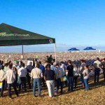 Com o fim das medidas restritivas da pandemia da Covid !9, o Dia de Campo voltou a ser realizado presencialmente no Campo Experimental da Fundação BA, em Luís Eduardo Magalhães.  Foto: divulgação / Abapa