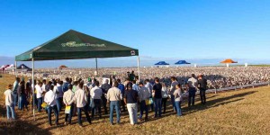 Com o fim das medidas restritivas da pandemia da Covid !9, o Dia de Campo voltou a ser realizado presencialmente no Campo Experimental da Fundação BA, em Luís Eduardo Magalhães.  Foto: divulgação / Abapa