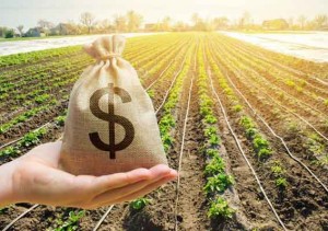 Cláudio Filgueiras, do BC, nos últimos quatro anos o desempenho do agronegócio tem apresentado evolução maior do que o PIB nacional. Este fator motivou o BC a “trazer o mercado privado para o financiamento rural”. Foto: Reprodução / Nação Agro