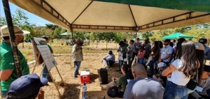 O pesquisador e chefe geral da Embrapa Hortaliças, Warley Nascimento, abordou o potencial da cultura do grão-de-bico - Foto: Breno Lobato.