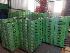 Fruta com certificação internacional e Indicação Geográfica é enviada, semanalmente, para países da Europa, América do Norte e Oriente Médio. Foto: divulgação