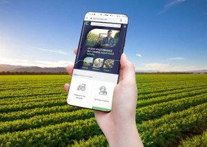 Com rede própria de franquias, a plataforma de marketplace, criada pela Campear, se tornou uma vitrine de compra e venda, acessível a fabricantes, comerciantes, prestadores de serviços e agricultores. Foto: divulgação Campear. Foto: divulgação Campear