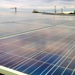 O líquido da casca do caju conta com substâncias capazes de revestir os painéis de energia solar e captar a energia, transformando-a em energia térmica, em vez de gerar propriamente eletricidade. (Divulgação)