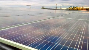 O líquido da casca do caju conta com substâncias capazes de revestir os painéis de energia solar e captar a energia, transformando-a em energia térmica, em vez de gerar propriamente eletricidade. (Divulgação)