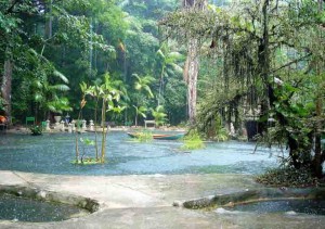 O Bosque Rodrigues Alves, em Belém (PA), tem cerca de 15 hectares de Floresta Amazônica