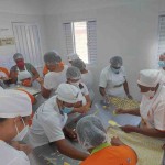 O Rural Produtivo deste sábado (10) mostra a produção de leite bovino, em Várzea do Poço. (Divulgação)
