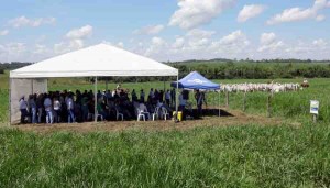 O diferencial do sistema APOIA-Microgeo está na integração de indicadores químicos, físicos e biológicos do solo e da planta, gerando índices capazes de auxiliar na tomada de decisões para manejo mais assertivo. Foto: Embrapa.br.