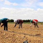 Uma das condições para obtenção do desconto é a de que os contratos originais tenham sido firmados até 31 de dezembro de 2011. Foto: Divulgação Codevasf
