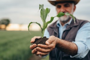 Os financiamentos de custeio tiveram aplicação de R$ 112,4 bilhões e os investimentos somaram R$ 43 bilhões. (Divulgação)