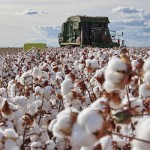 A Apex é uma das mais importantes parceiras da Abrapa na promoção do algodão brasileiro no mercado mundial, e, junto com a entidade dos cotonicultores e a Associação Nacional dos Exportadores de Algodão (Anea), integra o Cotton Brazil. Foto: Reprodução / Abapa.