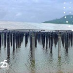 Com capacidade de 100 MW, módulos da Trina Solar em viveiro na Taishan, na China, aumenta receita da fazenda marinha e reduz mortalidade de peixes. (Divulgação)