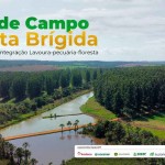 O evento é promovido pela Associação Rede ILPF, numa parceria público-privada formada pela Embrapa, cooperativa Cocamar e as empresas John Deere, Syngenta, Bradesco, Soesp (Sementes Oeste Paulista) e Suzano. (Imagem: Divulgação)