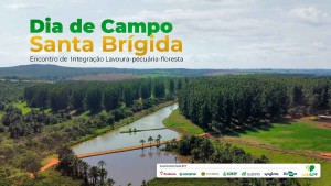 O evento é promovido pela Associação Rede ILPF, numa parceria público-privada formada pela Embrapa, cooperativa Cocamar e as empresas John Deere, Syngenta, Bradesco, Soesp (Sementes Oeste Paulista) e Suzano. (Imagem: Divulgação)