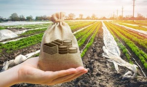 CEO da FM2S e Doutor em Engenharia Mecânica pela Unicamp, Virgilio Marques do Santos analisa o cenário do Agronegócio no Brasil, com base em análise de dados disponibilizados pelo Ipea, referentes ao mês de fevereiro. (Foto: Embrapa / reprodução)