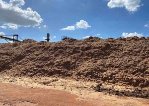 Estudo incorporou glicerol a pellets, produzidos por resíduos não madeireiros, e resultou na formação de subprodutos de qualidade. Foto: Ronaldo Viana
