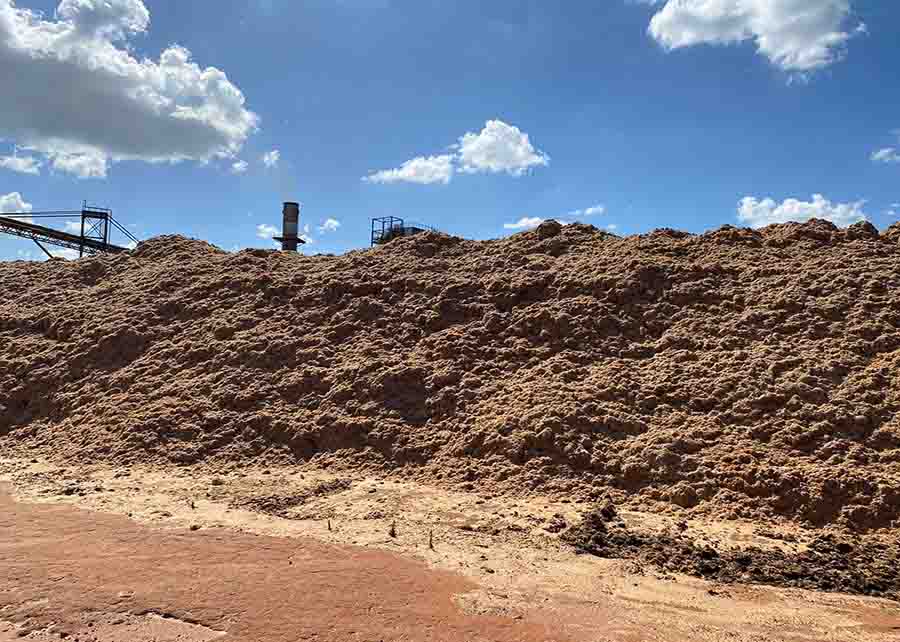 Estudo incorporou glicerol a pellets, produzidos por resíduos não madeireiros, e resultou na formação de subprodutos de qualidade. Foto: Ronaldo Viana