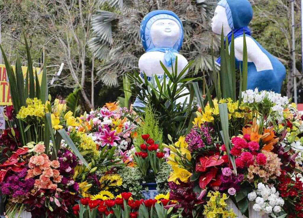 As flores estão entre os presentes preferidos no “Dia das Mães”: Foto: Divulgação