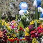 As flores estão entre os presentes preferidos no “Dia das Mães”: Foto: Divulgação