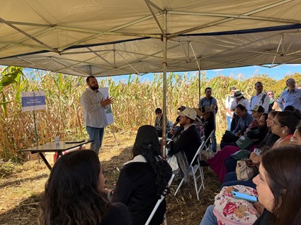 DIA DE CAMPO 02