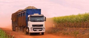 A safra recorde impulsionou a demanda de fretes, principalmente no Rio Grande do Sul, e o preço médio do frete do trigo também aumentou 25% no período. Foto: Fretebras