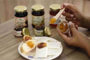 A demanda leva em consideração a capacidade produtiva, a sazonalidade de produção, marcas e propostas de valor de seus fornecedores. (Divulgação)