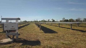 Nova usina fotovoltaica Salinas, em Minas Gerais, possui 2,2 MWp de potência instalada e capacidade para atender até 2 mil famílias. Foto: Divulgação.