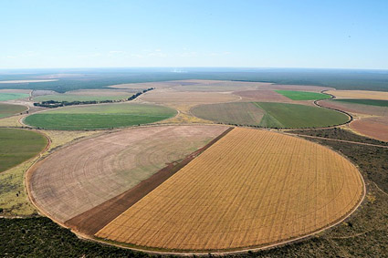 Segundo as projeções, a região tem uma dinâmica diferenciada de crescimento agrícola e deve atingir uma produção de grãos de 48 milhões de toneladas no período. Imagem: Gov. Federal / Força Setorial - Matopiba