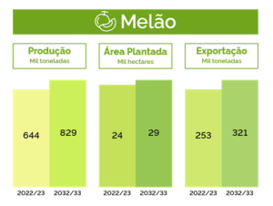 estimativa produção Melão