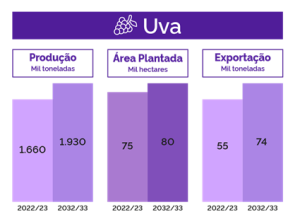 estimativa produção uva