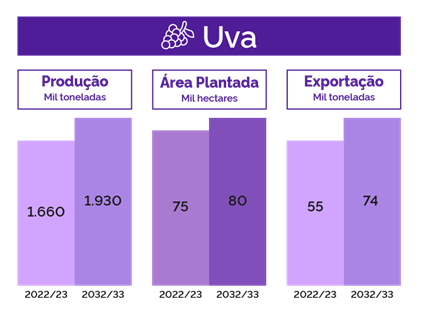 estimativa produção uva