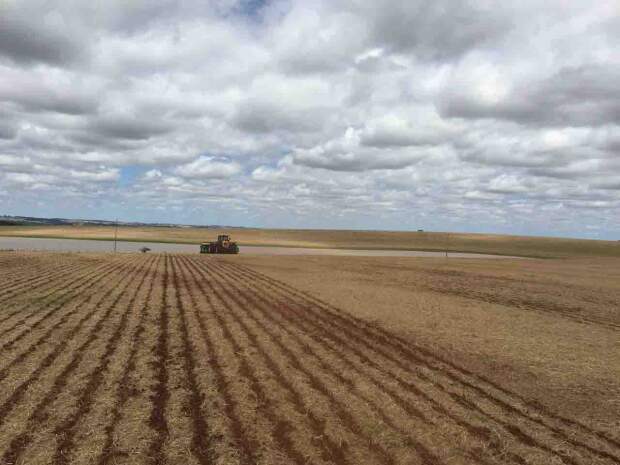 Chuvas excessivas no Sul do Brasil podem atrapalhar as operações de semeadura e exigir replantios, enquanto há a probabilidade de incidência de secas severas em outras regiões. Foto: reprodução Google