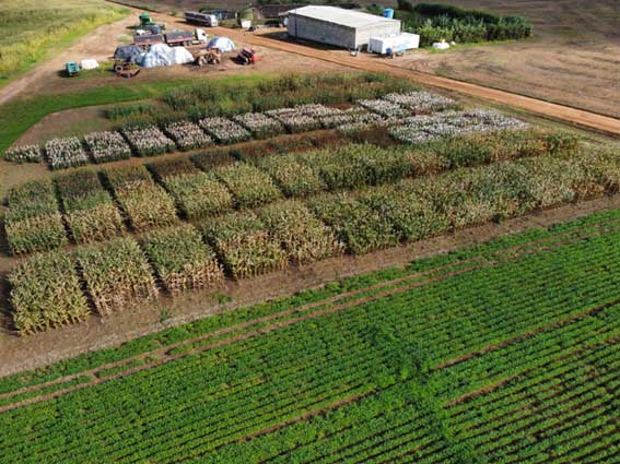 Evento, que acontece dias 9 e 10 de agosto, mostra o investimento na região com desenvolvimento de materiais exclusivos para a agropecuária nordestina. (Foto: Eduardo Simoneti)