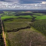 Segundo estudo inédito, ao recuperar 12 milhões de hectares de florestas, o país pode gerar 2,5 milhões empregos e remover 4,3 bilhões de toneladas de CO2 da atmosfera. Créditos: Marizilda Cruppe / Rede Amazônia Sustentável.