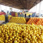 O município de Juazeiro é destaque no cenário agropecuário da Bahia graças aos projetos públicos de irrigação Curaçá, Mandacaru, Maniçoba, Salitre - 1ª Etapa e Tourão. Mercado-do-Produtor-de Juazeiro – Foto: Prefeitura Juazeiro